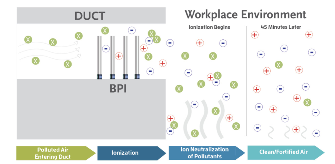 White Paper COVID19 Impacts to the Workplace Bala